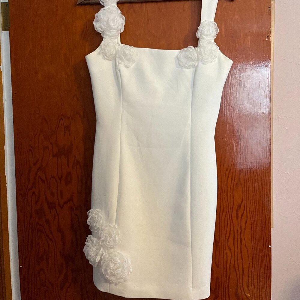 Elliatt Trompe 3D Floral Mini Dress